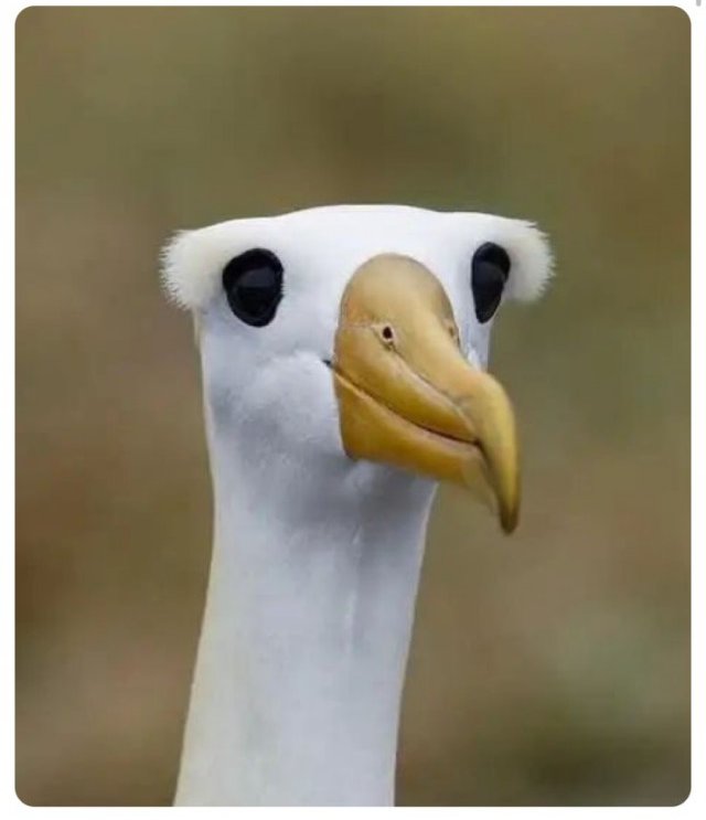 Так себе картинки 03.03.25