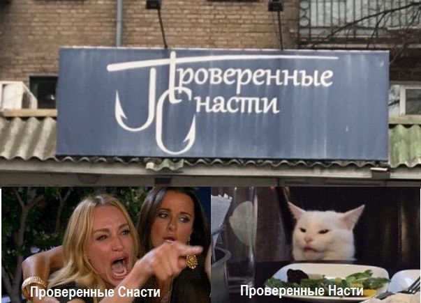 Знаменитый кот