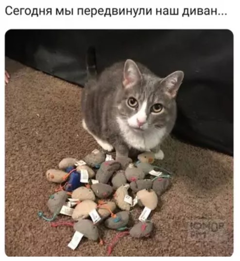 Картиночки, баянчики 29 марта