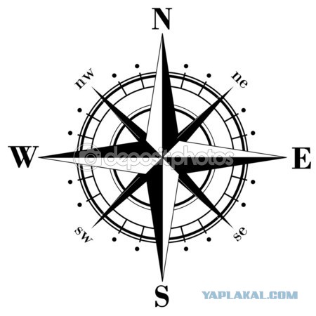 28 фактов, знание которых сделают вас