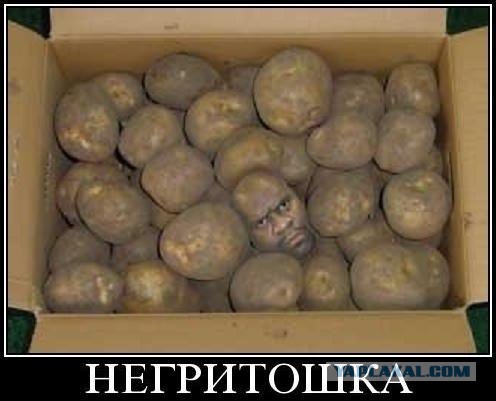 Без лишних слов