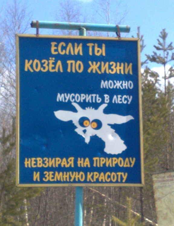 Картинки