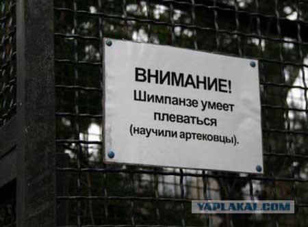 Надписи, вывески, объявления и другие буквы