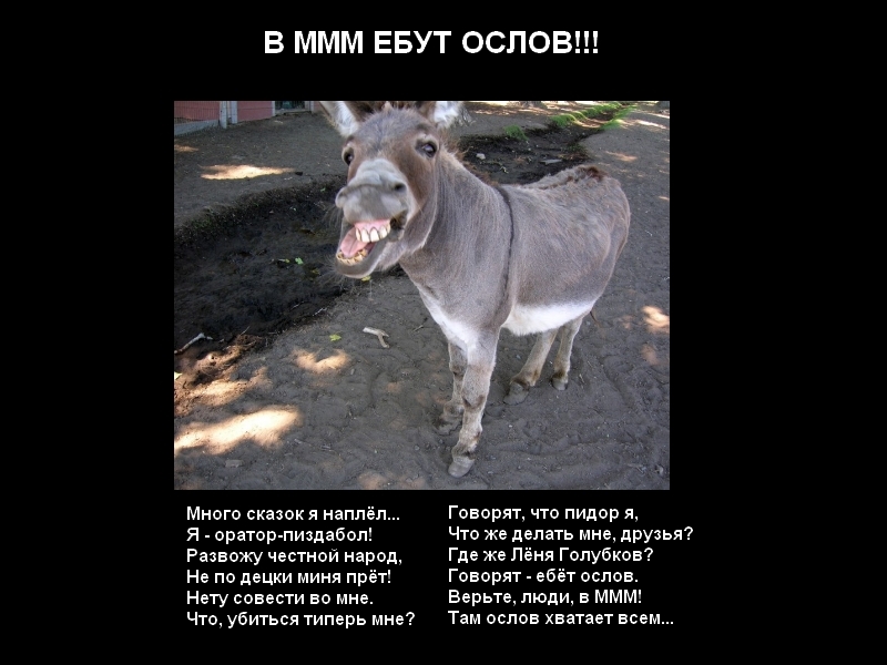 Я Ебал Ишака