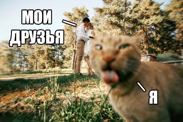 Картинки и демотиваторы