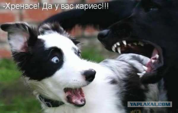 Злые шутки или минутка сарказма на ЯП-е, 16+