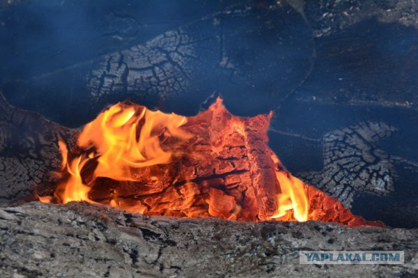 731 день в России. Получение гражданства. Привыкание. Как и за что полюбить Кострому?