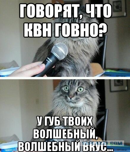 Внучка Маслякова на КВН