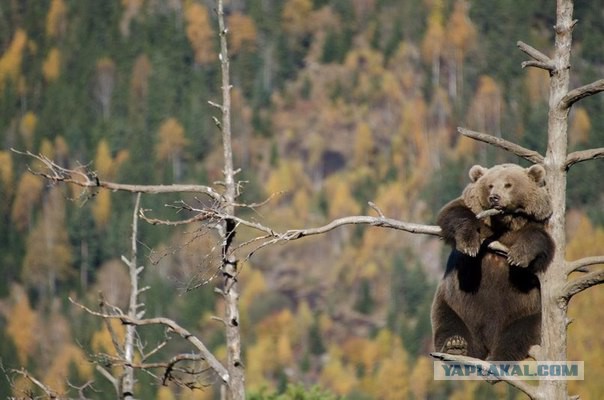 Подборка любопытных фотографий со всего света