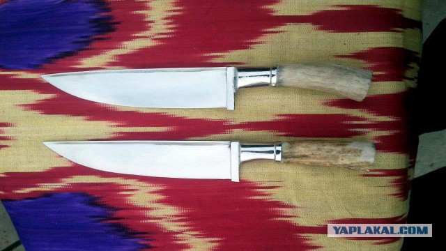 Продам Пчаки