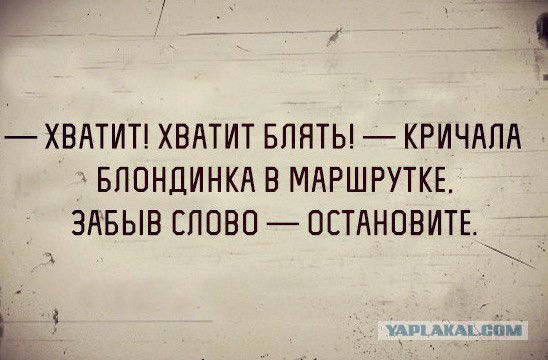 Наглая курица в маршрутке. Досталось бабушке по голове.... Очередное вранье свидетеля