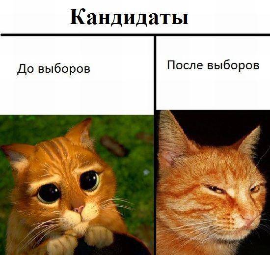 Картинок всяких #2