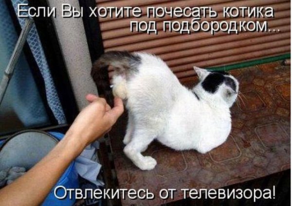 Немного деграданса - 7