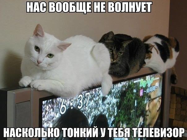 Картинки для поднятия настроения