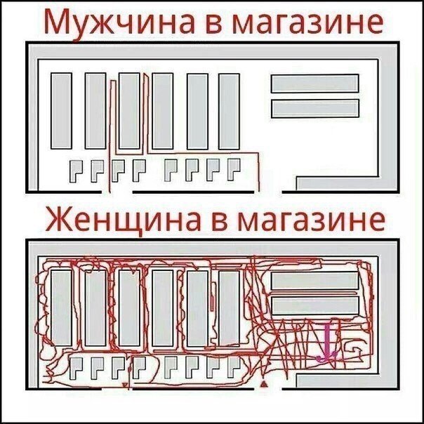 100 картинок для поднятия настроения!