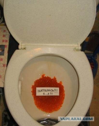 Ваша посылка была утеряна