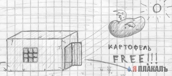Рисунки простым карандашом