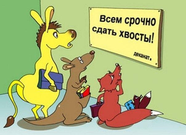 Мастер-класс по переводу на бюджет от опытных студенток