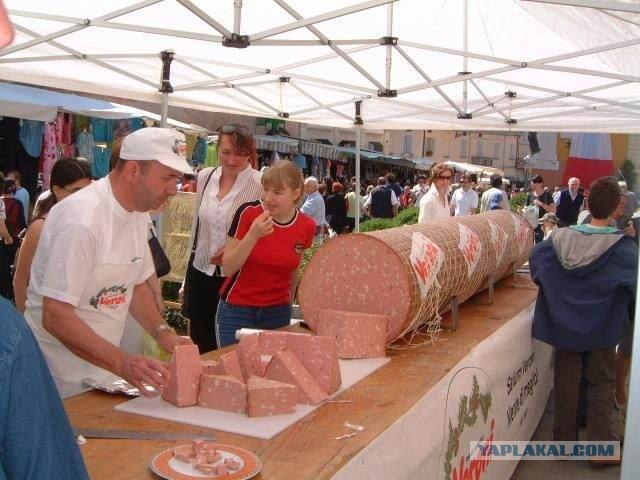 "Живи, сука, дешево и сердито"