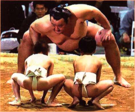 Sumo boys Russian