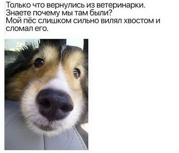 Нестандартный юмор