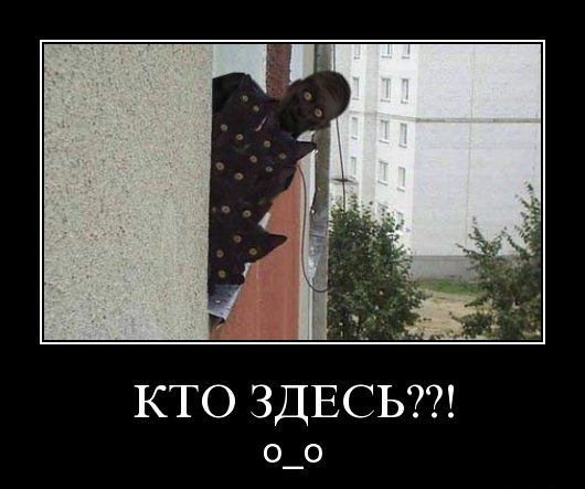 Кто здесь картинки прикольные