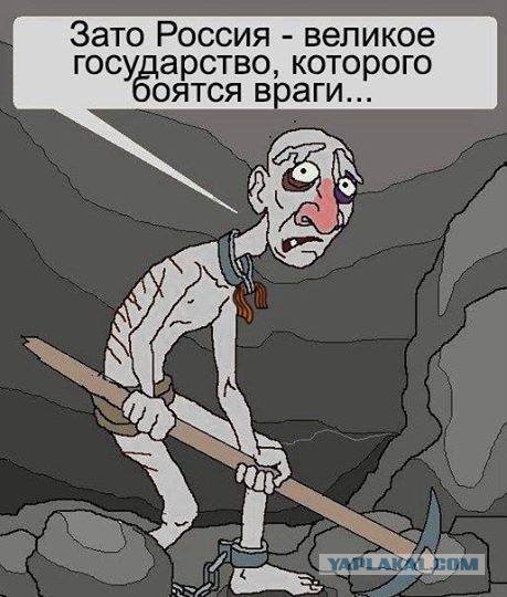 Милорд, они начали умнеть!