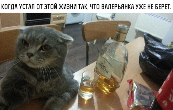Алкопост на вечер пятницы