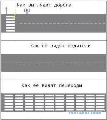 Картинки юморные и тексты