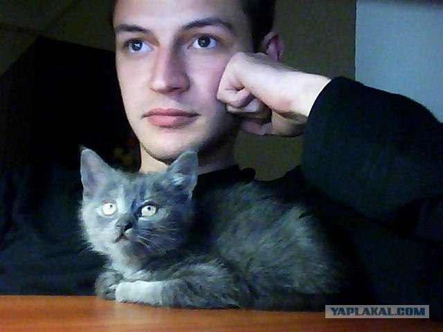 Котовторник 1.11.11