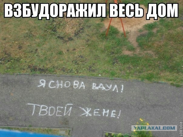 Стихо+картинки