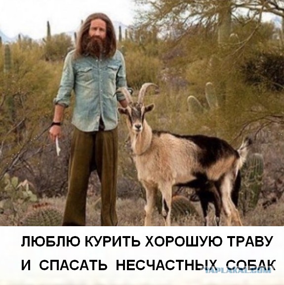 Минута лёгкой (и не очень) наркомании
