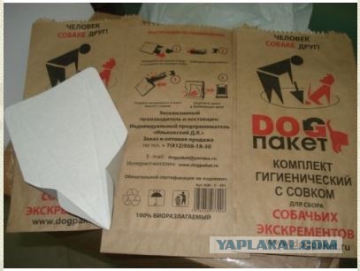 Хозяину собаки без намордника завернули ласты