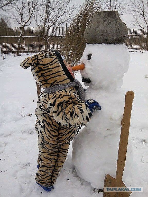 Немного позитива на выходные. Фото с "изюминкой"