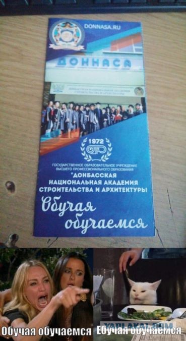 Бредзона 19.02.2020
