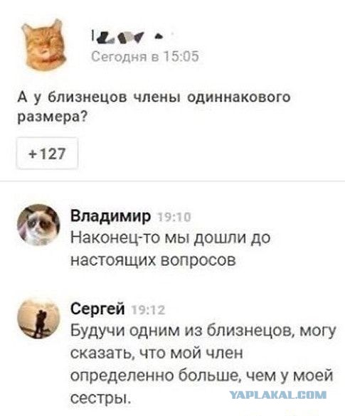 Забытая дома голова
