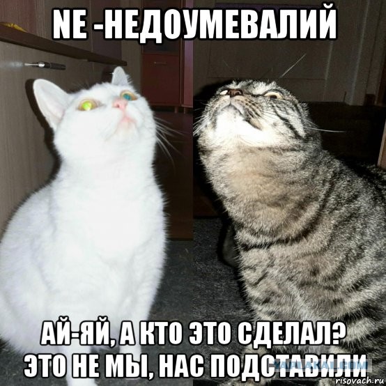 Периодическая система кото-элементов