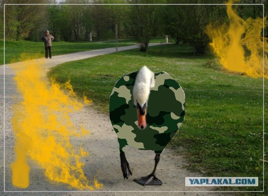Фотожаба: Я от дедушки ушел, я от бабушки ушел