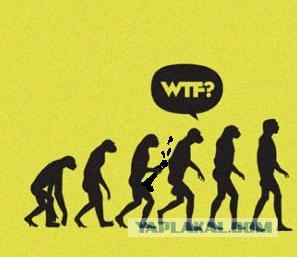 Фотожаба: WTF?