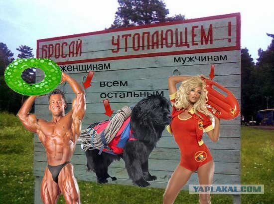 Фотожаба: Тут лучше не быть утопающим