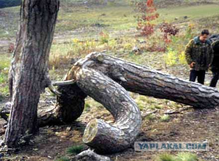 ЯПлакалъ, как вы ругаетесь?