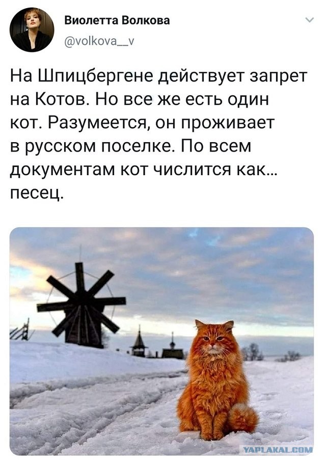 Бредзона 17.11.20