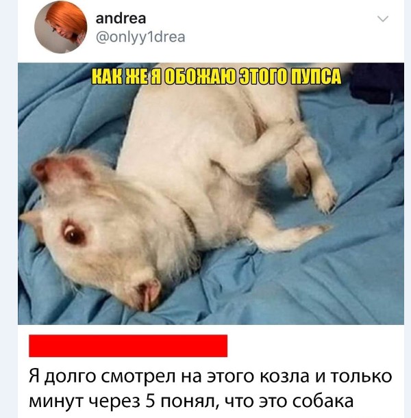 Картинки и мемы для настроения 004