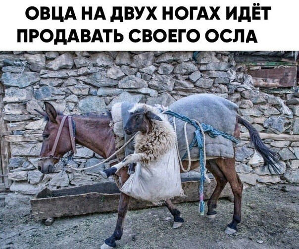 Мадам и месье, снова бонжур