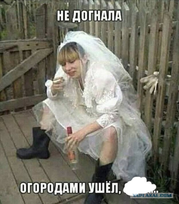 Так себе картинки 07.08.21