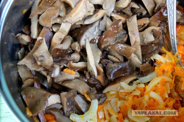 Осень в банках