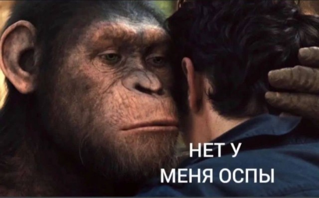 Про оспу обезьян
