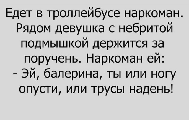 Весёлый полтишок 11.08.22