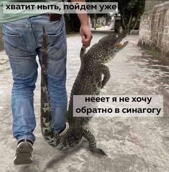 Вы верите учёным? Где мы находимся и кто мы?