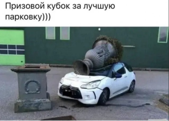 Фарш из баянов